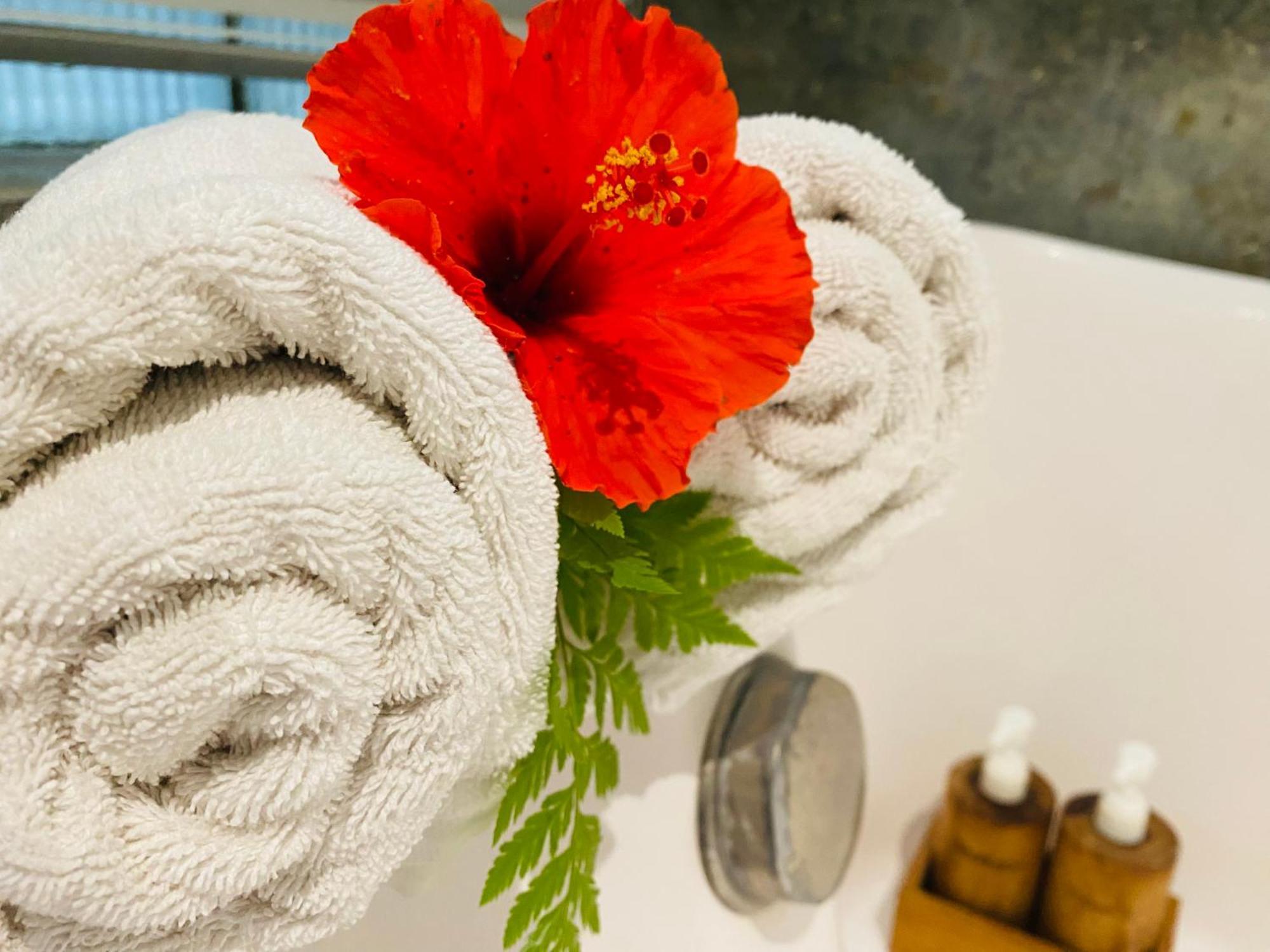 Aura Bisma Guesthouse ウブド エクステリア 写真