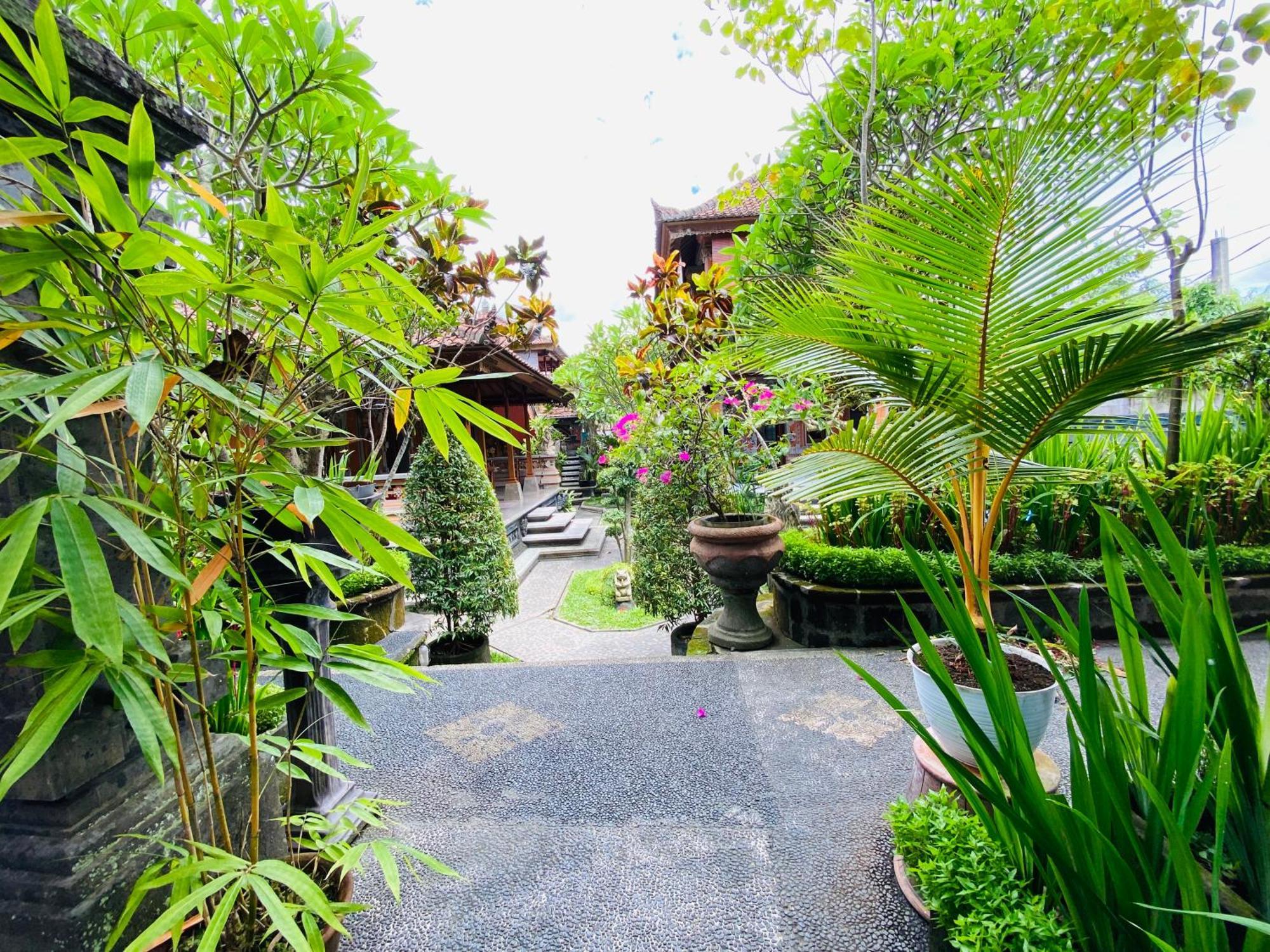 Aura Bisma Guesthouse ウブド エクステリア 写真